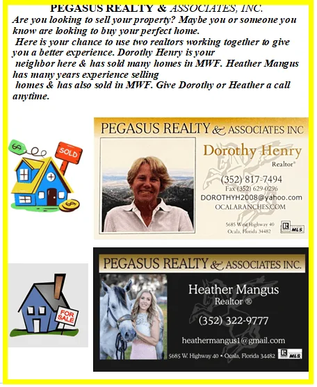 Pegasus Ad Pegasus Ad